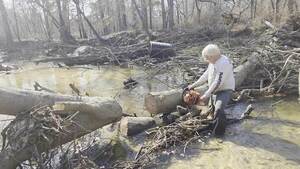 [Movie: A third cut, 2026:02:14 14:24:56, 30.8642879, -83.3201194 (32M)]