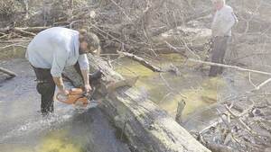 [Movie: David Savage sawing, Phil Hubbard moving debris, 2026:02:14 15:14:41, 30.8638681, -83.3209743 (9.6M)]