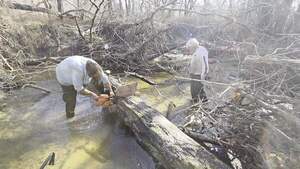 [Movie: Saw some more, 2026:02:14 15:15:26, 30.8638681, -83.3209743 (4.6M)]