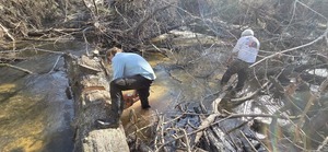 [David and Phil sawing, 2026:02:14 15:16:44, 30.8638741, -83.3210036]