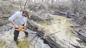 [Movie: Tish Hall with a handsaw, 2026:02:14 15:37:54, 30.8638855, -83.3210195 (39M)]