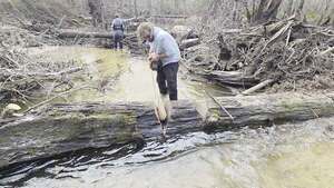 [Movie: Saw from downstream, 2026:02:14 15:38:36, 30.8638855, -83.3210195 (13M)]