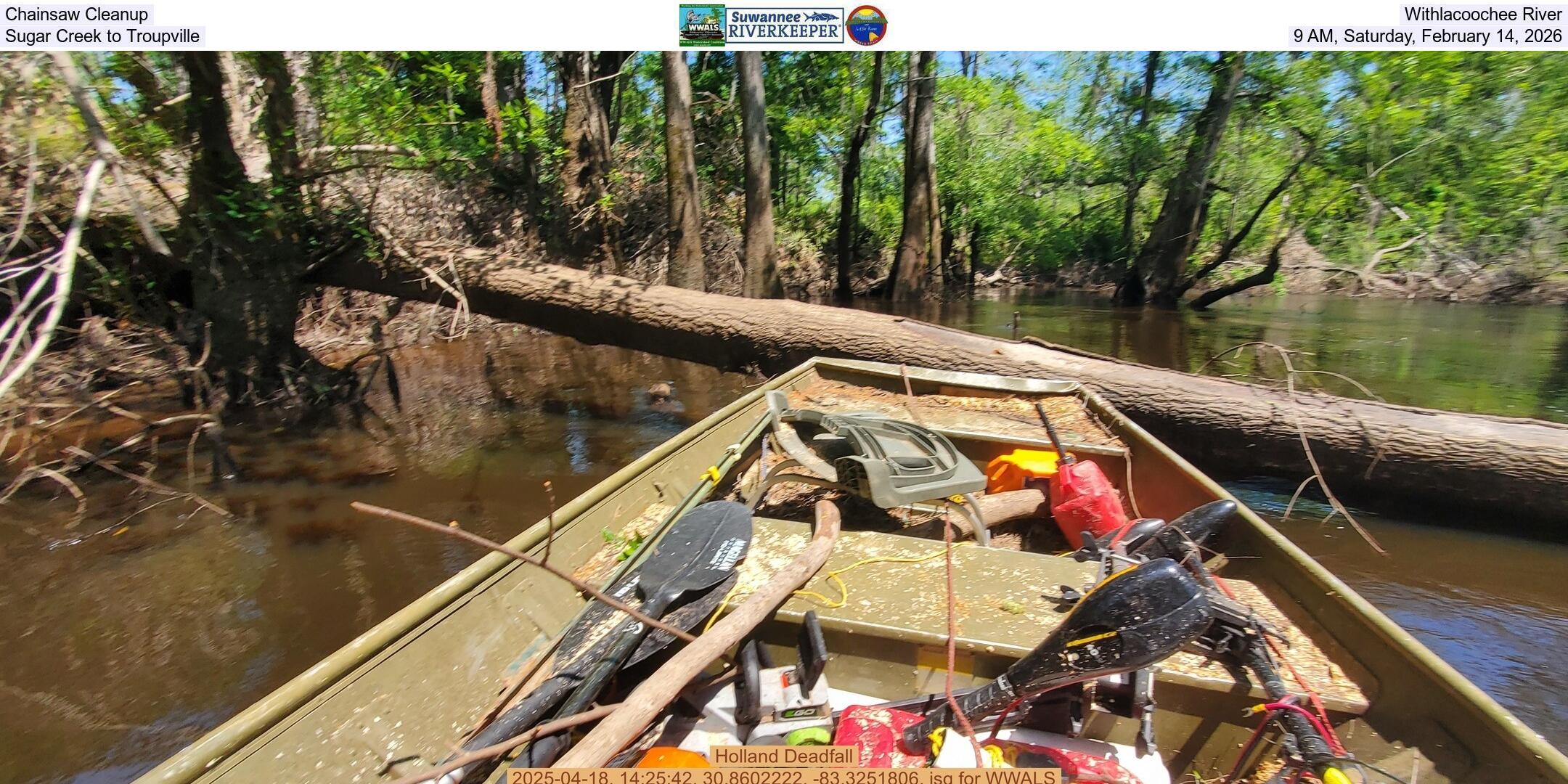 Chainsaw Cleanup, Withlacoochee River, Sugar Creek to Troupville, 9 AM, Saturday, February 14, 2026