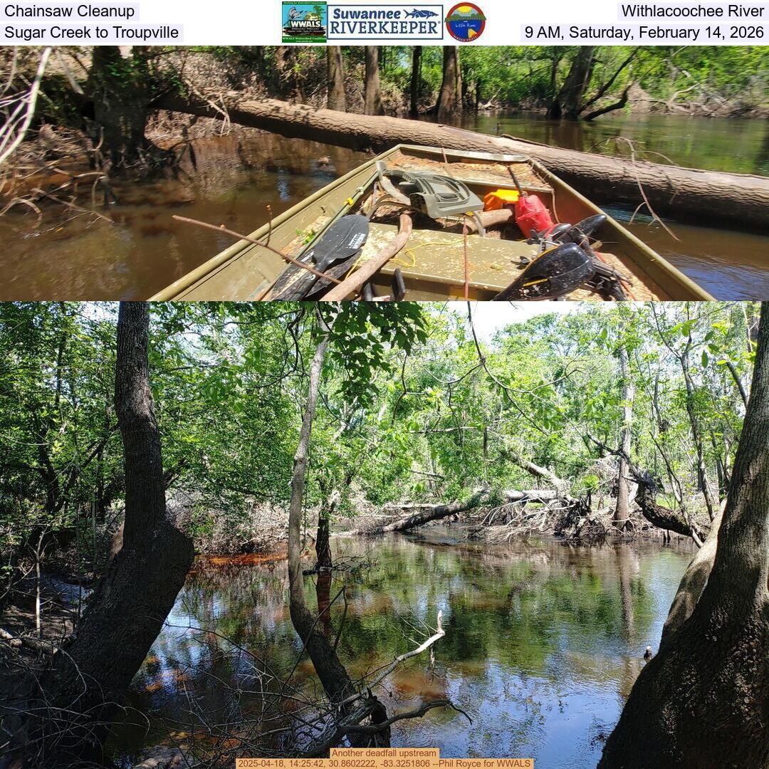 Chainsaw Cleanup, Withlacoochee River, Sugar Creek to Troupville, 9 AM, Saturday, February 14, 2026