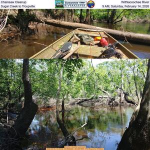 [Chainsaw Cleanup, Withlacoochee River, Sugar Creek to Troupville, 9 AM, Saturday, February 14, 2026]