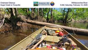 [Chainsaw Cleanup, Withlacoochee River, Sugar Creek to Troupville, 9 AM, Saturday, February 14, 2026]