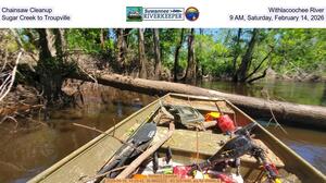 [Chainsaw Cleanup, Withlacoochee River, Sugar Creek to Troupville, 9 AM, Saturday, February 14, 2026]