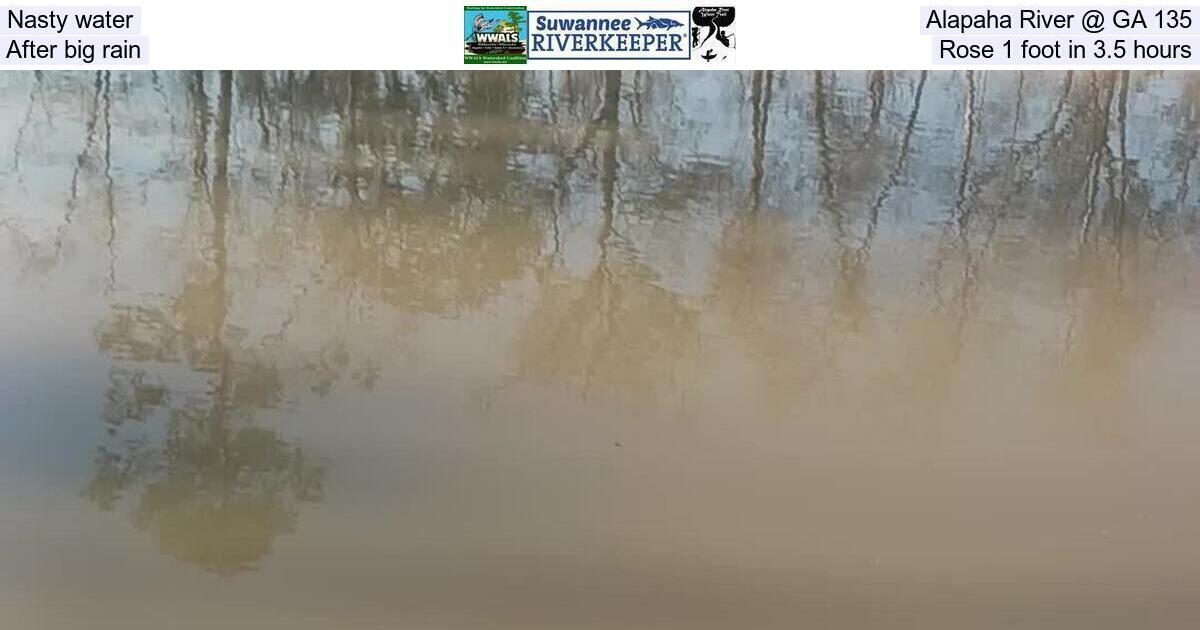 [Nasty water, Alapaha River @ GA 135, After big rain, Rose 1 foot in 3.5 hours]