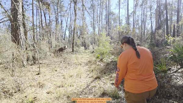 [Movie: VLPRA sawed off this one (19M), 2026-02-16 --jsq for WWALS]