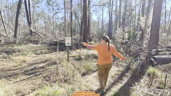 [Movie: Trail J (21M), 2026-02-16 --jsq for WWALS]