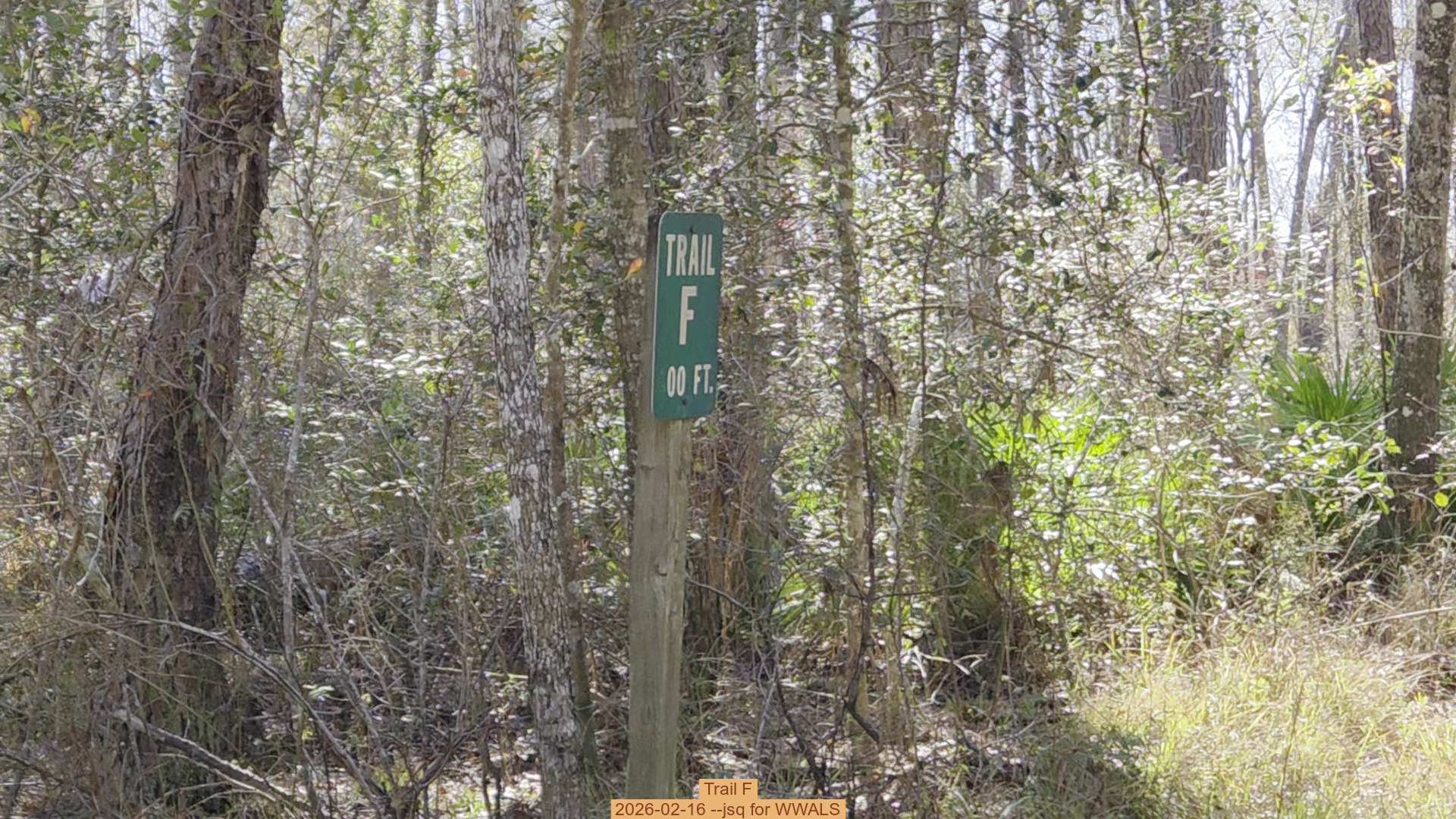 Trail F, 2026-02-16 --jsq for WWALS
