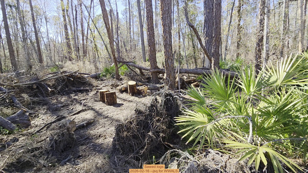 [Sawed logs, 2026-02-16 --jsq for WWALS]