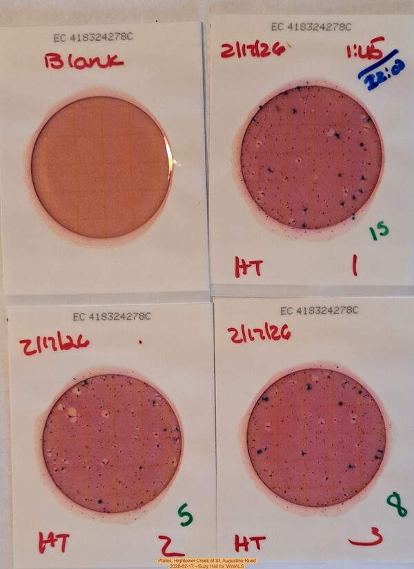 [Plates, Hightower Creek at St. Augustine Road 2026-02-17 --Suzy Hall for WWALS]