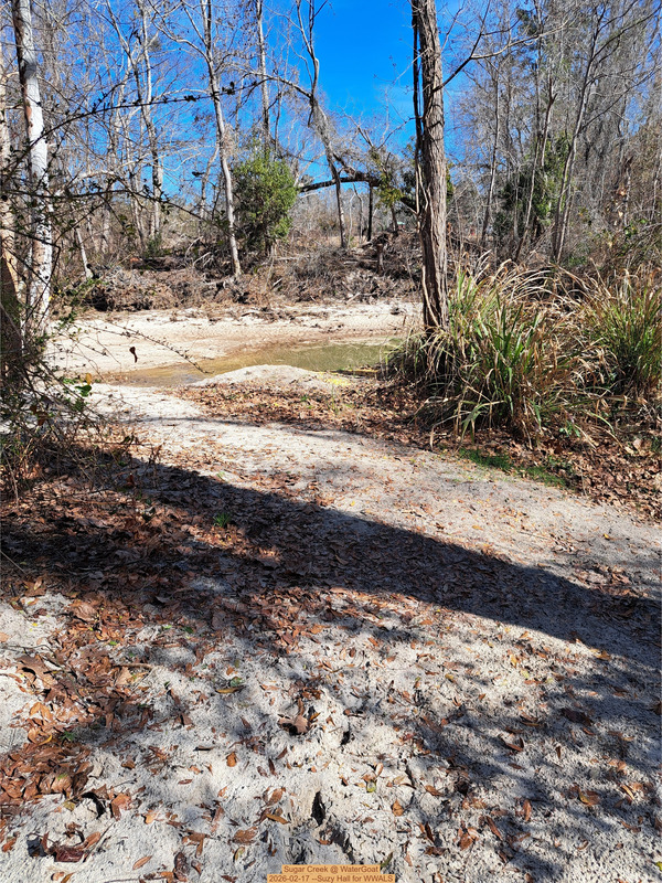 [Sugar Creek @ WaterGoat, 2026-02-17 --Suzy Hall for WWALS]