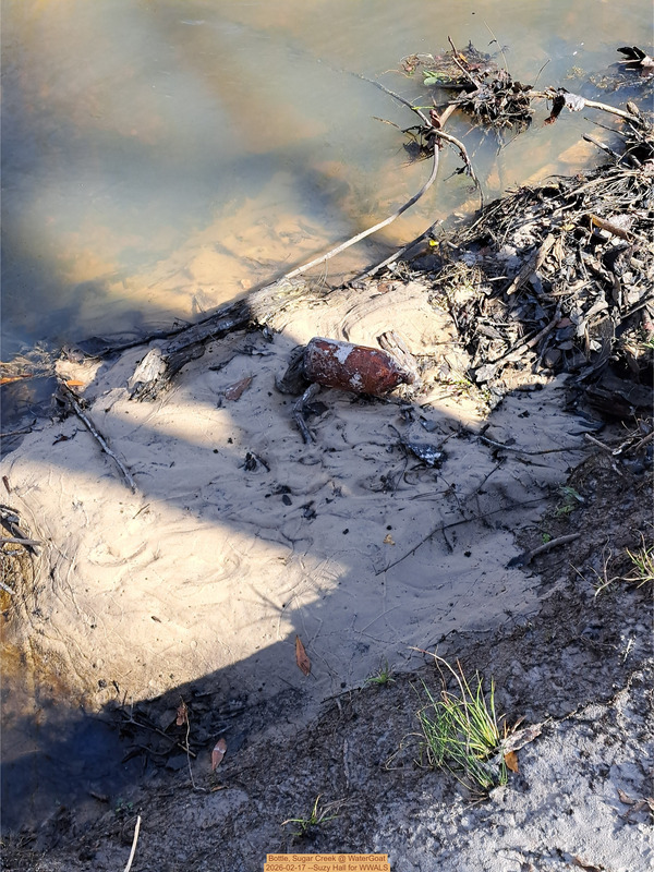Bottle, Sugar Creek @ WaterGoat, 2026-02-17 --Suzy Hall for WWALS