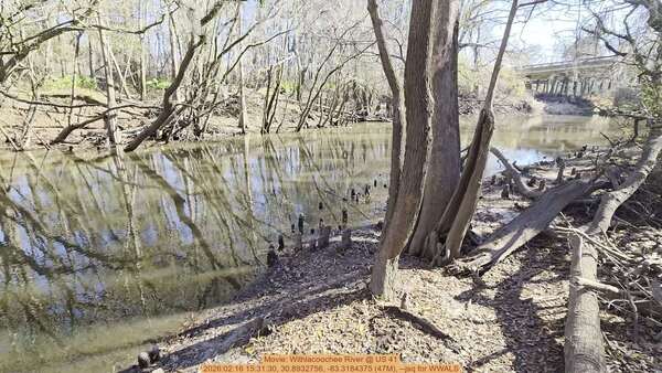 Movie: Withlacoochee River @ US 41, 2026:02:16 15:31:30, 30.8932756, -83.3184375 (47M), --jsq for WWALS