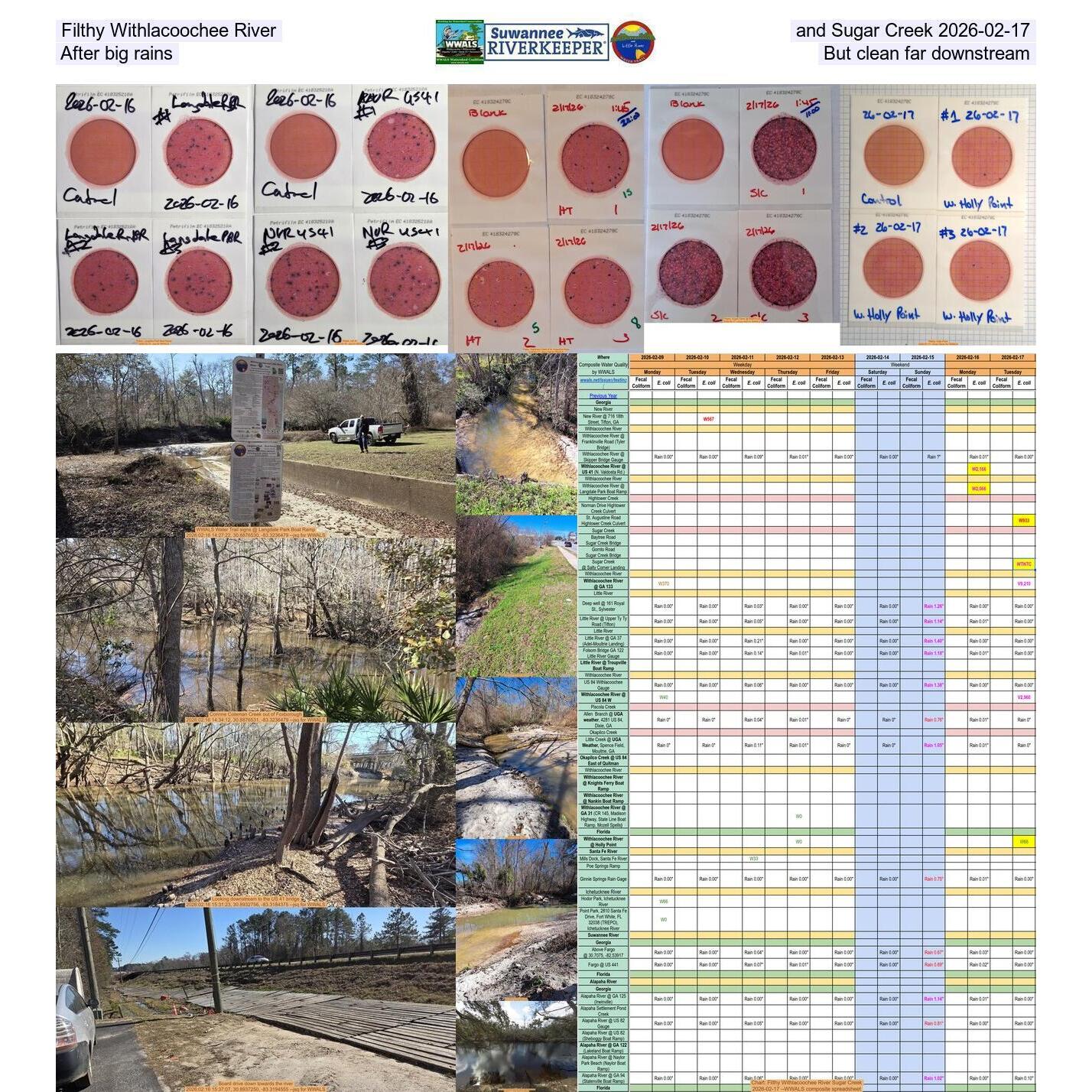 Filthy Withlacoochee River and Sugar Creek 2026-02-17, After big rains, But clean far downstream