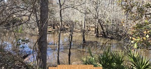 [Corinne Coleman Creek out of Foxborough, 2026:02:16 14:34:12, 30.8876531, -83.3236479 --jsq for WWALS]