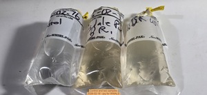 [Control and two samples, 2026-02-16 --jsq for WWALS]