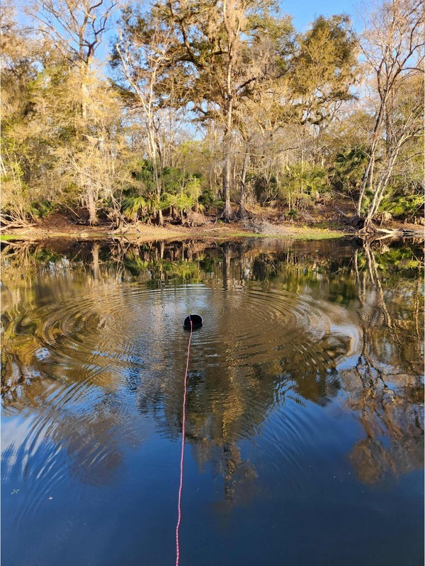 [Mills Dock, Santa Fe River @ NW 282nd Dr 2026-02-18 --Bob Mills and Kurt Hurzeler for WWALS]