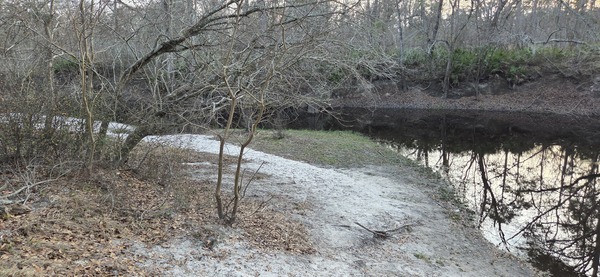 Sample site, Langdale Park Boat Ramp, Withlacoochee River @ North Valdosta Road 2026-02-19 --jsq for WWALS