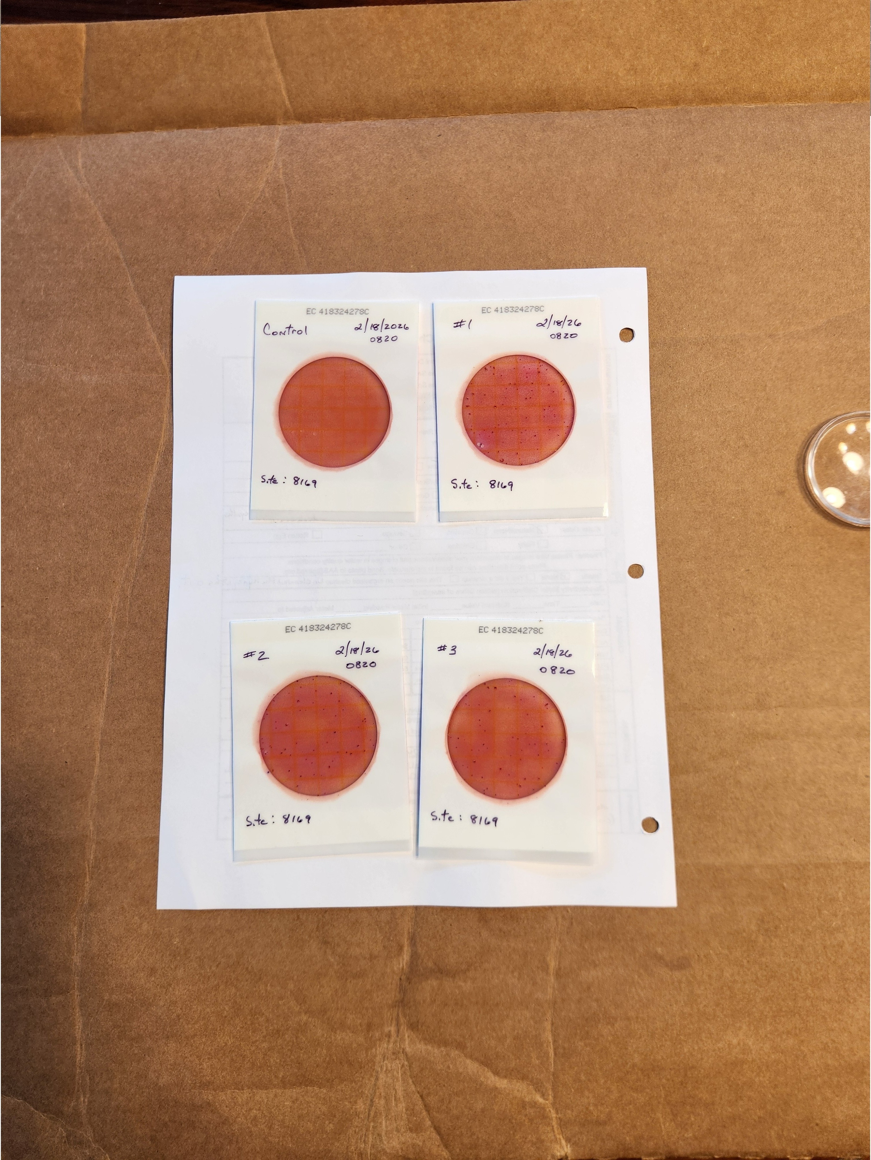 Plates, Mills Dock 2026-02-18 --Bob Mills and Kurt Hurzeler for WWALS