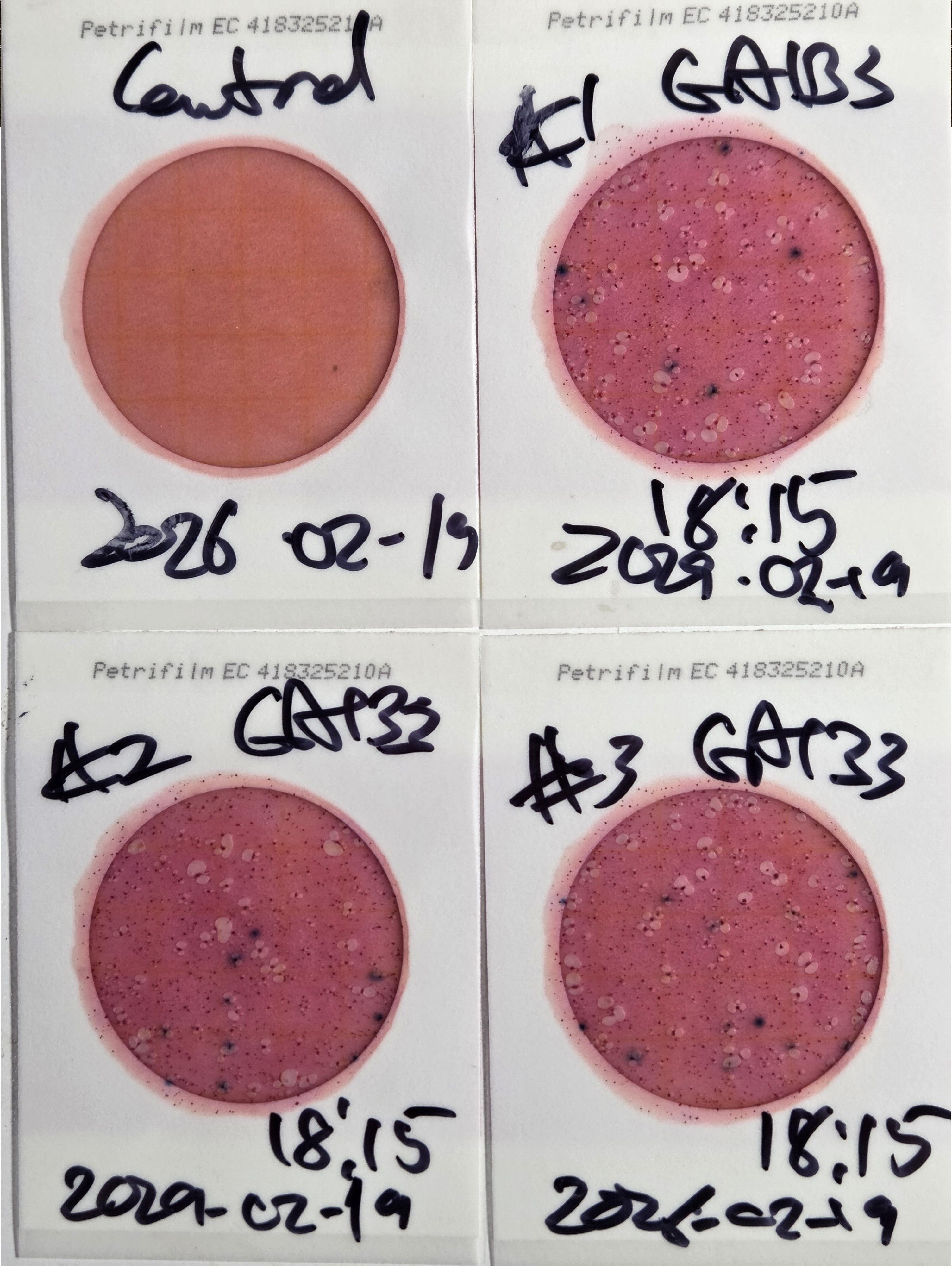 Plates, GA 133, Withlacoochee River, 2026-02-19 --jsq for WWALS