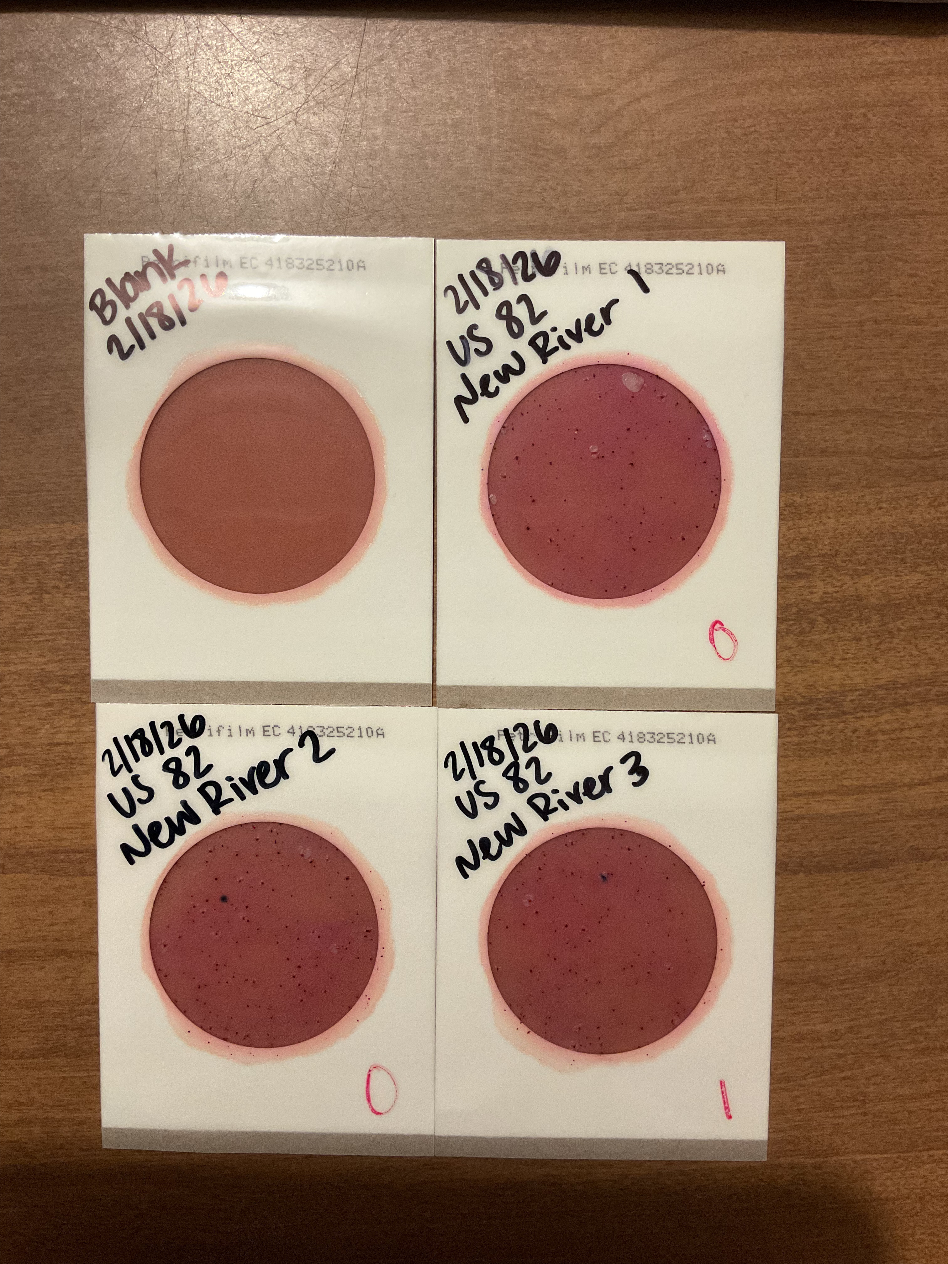 Plates, US 82 New River Bridge, Tifton, GA 2026-02-19 --Isis Swartz for WWALS