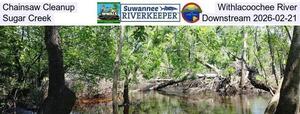 [Chainsaw Cleanup, Withlacoochee River, Sugar Creek, Downstream 2026-02-21]