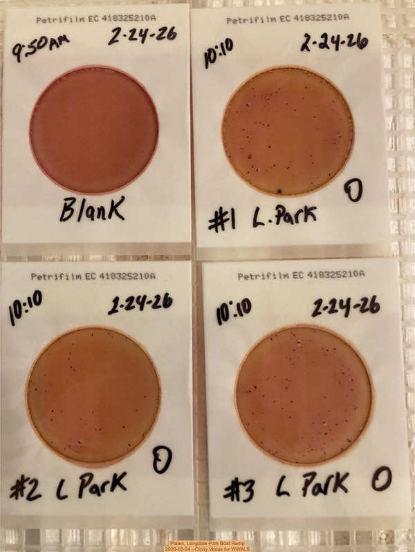 Plates, Langdale Park Boat Ramp 2026-02-24 --Cindy Vedas for WWALS