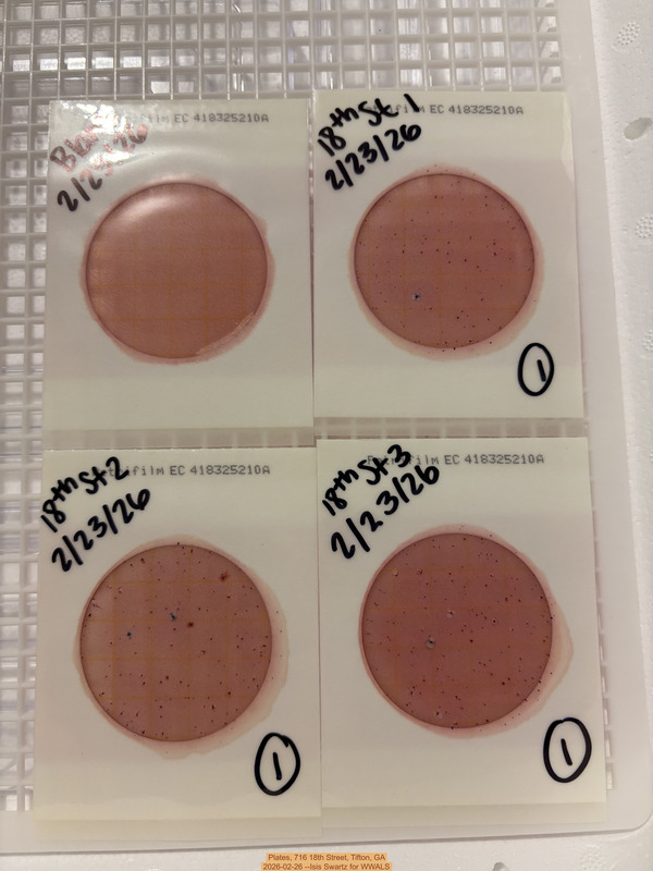 [Plates, 716 18th Street, Tifton, GA 2026-02-26 --Isis Swartz for WWALS]