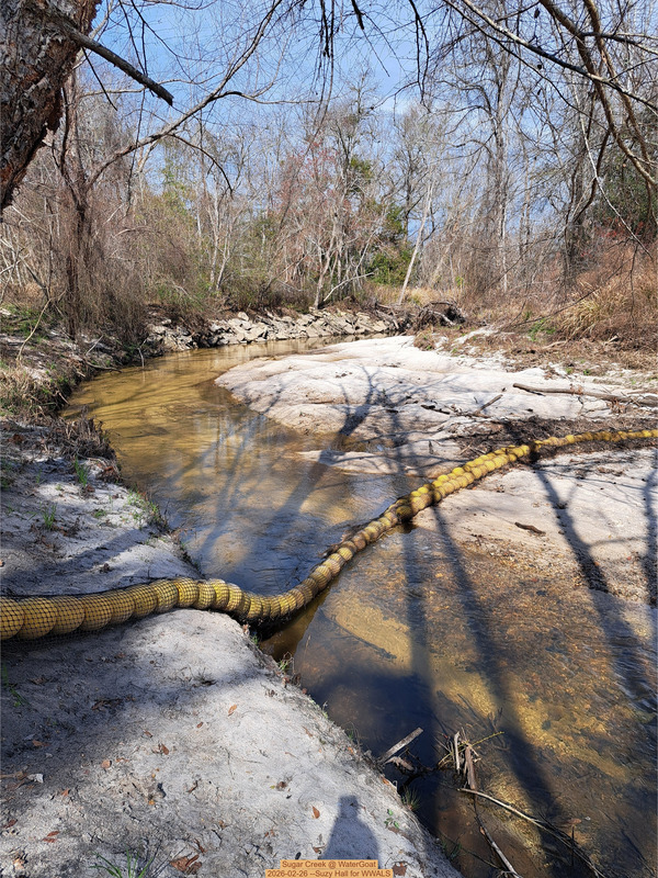 [Sugar Creek @ WaterGoat 2026-02-26 --Suzy Hall for WWALS]