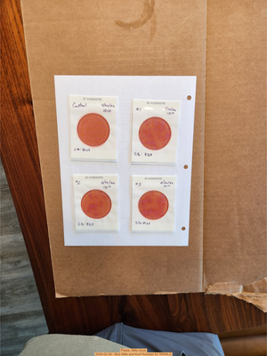 [Plates, Mills Dock 2026-02-26 --Bob Mills and Kurt Hurzeler for WWALS]