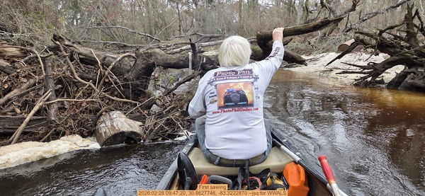 [First sawing, 2026:02:28 09:47:20, 30.8627746, -83.3222870 --jsq for WWALS]