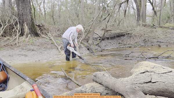Movie: Underwater sawing, 2026:02:28 09:52:05, 30.8629415, -83.3223123 (55M) --jsq for WWALS