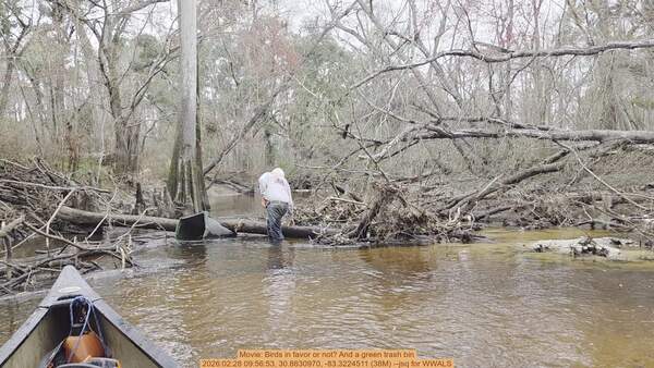 Movie: Birds in favor or not? And a green trash bin, 2026:02:28 09:56:53, 30.8630970, -83.3224511 (38M) --jsq for WWALS