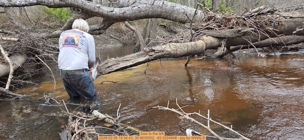 [Saw to the left, 2026:02:28 10:34:43, 30.8635502, -83.3224948 --jsq for WWALS]