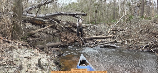 [Overhead sawing, 2026:02:28 12:12:27, 30.8697989, -83.3136320 --jsq for WWALS]