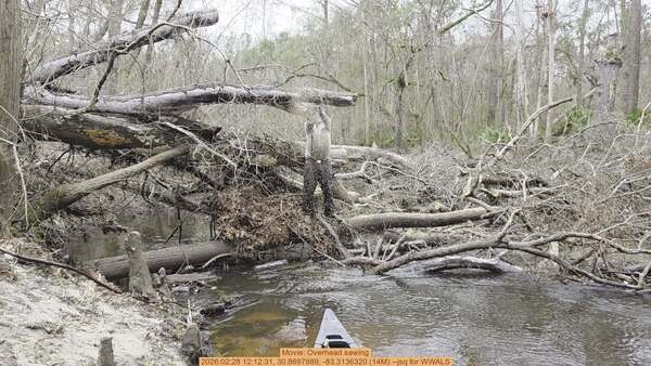 Movie: Overhead sawing, 2026:02:28 12:12:31, 30.8697989, -83.3136320 (14M) --jsq for WWALS