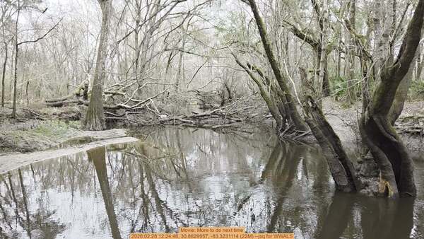 Movie: More to do next time, 2026:02:28 12:24:46, 30.8629957, -83.3231114 (22M) --jsq for WWALS