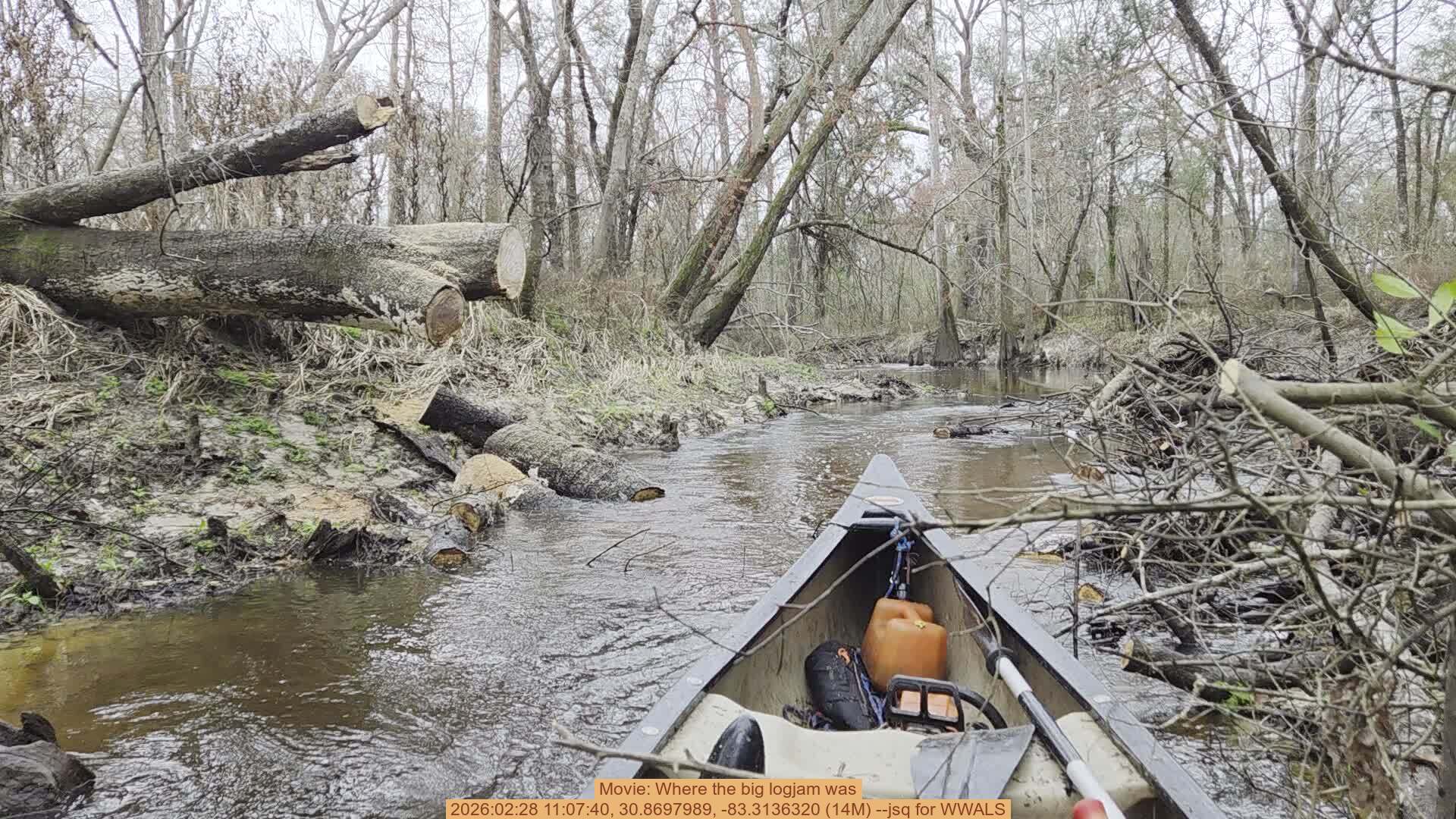 Movie: Where the big logjam was, 2026:02:28 11:07:40, 30.8697989, -83.3136320 (14M) --jsq for WWALS