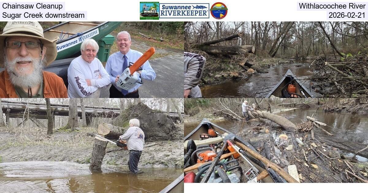 [Chainsaw Cleanup, Withlacoochee River, Sugar Creek downstream, 2026-02-21]