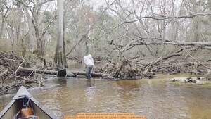 [Movie: Birds in favor or not? And a green trash bin, 2026:02:28 09:56:53, 30.8630970, -83.3224511 (38M) --jsq for WWALS]