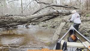 [Movie: Got it, 2026:02:28 10:32:04, 30.8635409, -83.3224945 (15M) --jsq for WWALS]