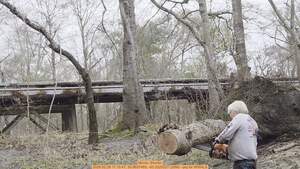 [Movie: Shorter, 2026:02:28 11:15:47, 30.8637465, -83.3225227 (26M) --jsq for WWALS]