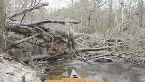 [Movie: Overhead sawing, 2026:02:28 12:12:31, 30.8697989, -83.3136320 (14M) --jsq for WWALS]