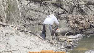 [Movie: Another cut did it, 2026:02:28 12:17:36, 30.8636643, -83.3229772 (118M) --jsq for WWALS]