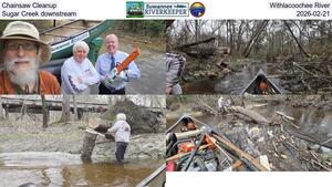 [Chainsaw Cleanup, Withlacoochee River, Sugar Creek downstream, 2026-02-21]