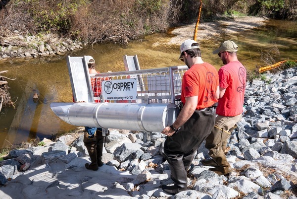 Trap, 2026-03-05 --City of Valdosta