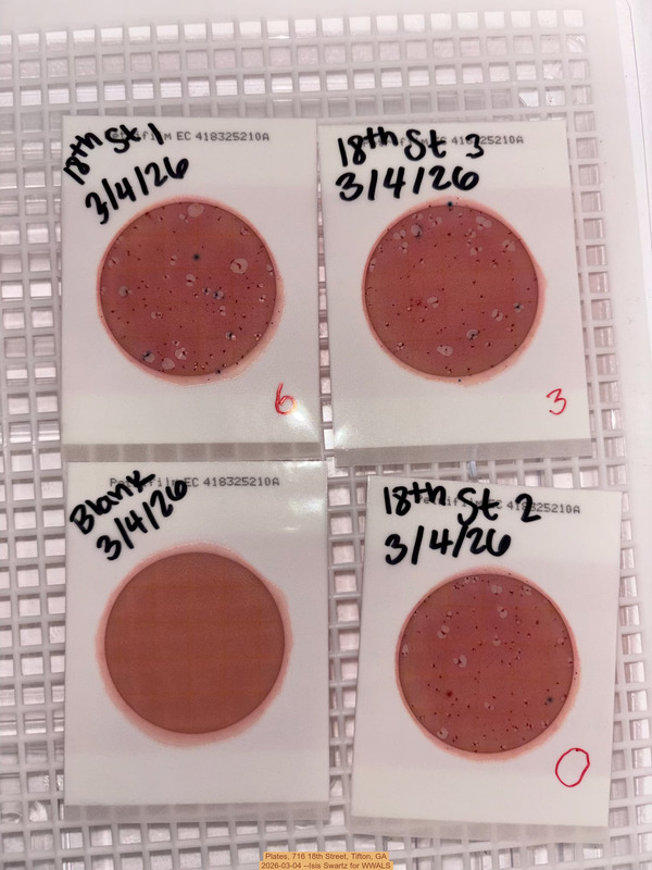 [Plates, 716 18th Street, Tifton, GA 2026-03-04 --Isis Swartz for WWALS]